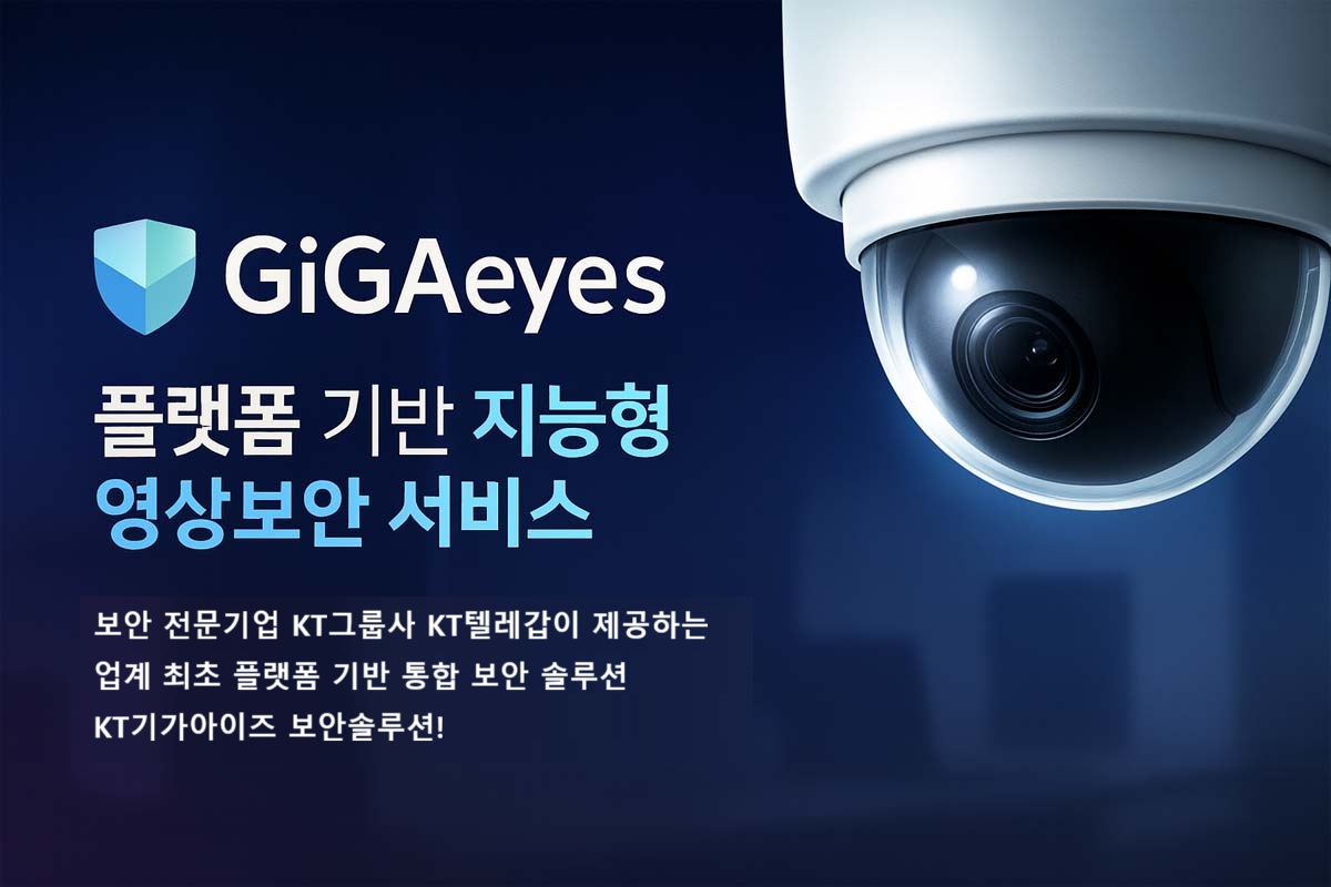 �Ⱑ������ CCTV