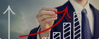 ȸ�� ���� ����